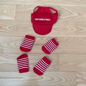 Dog hat and socks